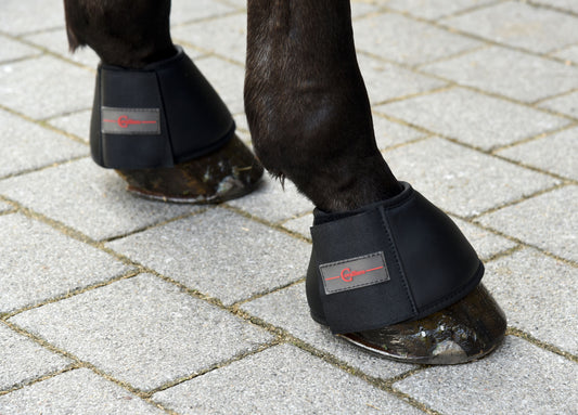 Hufglocken Protecto schwarz