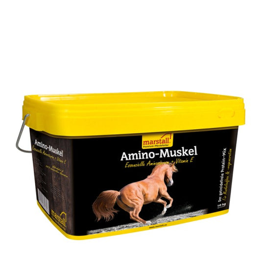 Amino-Muskel