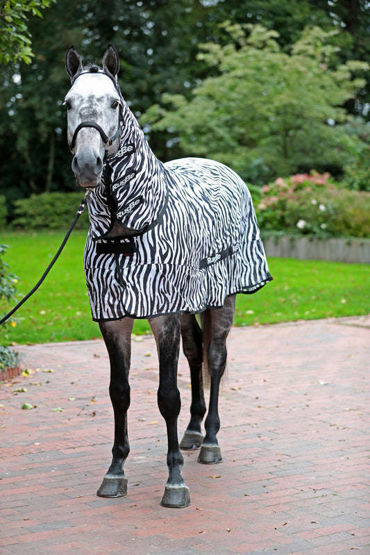Fliegendecke RugBe Zebra