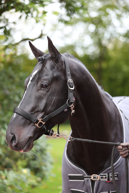 Halfter Dexter mit Fleeceunterlage