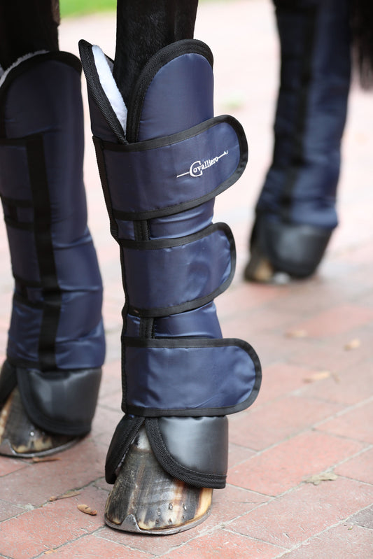 Transportgamaschen Dexter