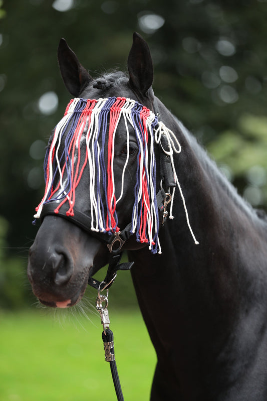 Fliegen Fransenband bunt