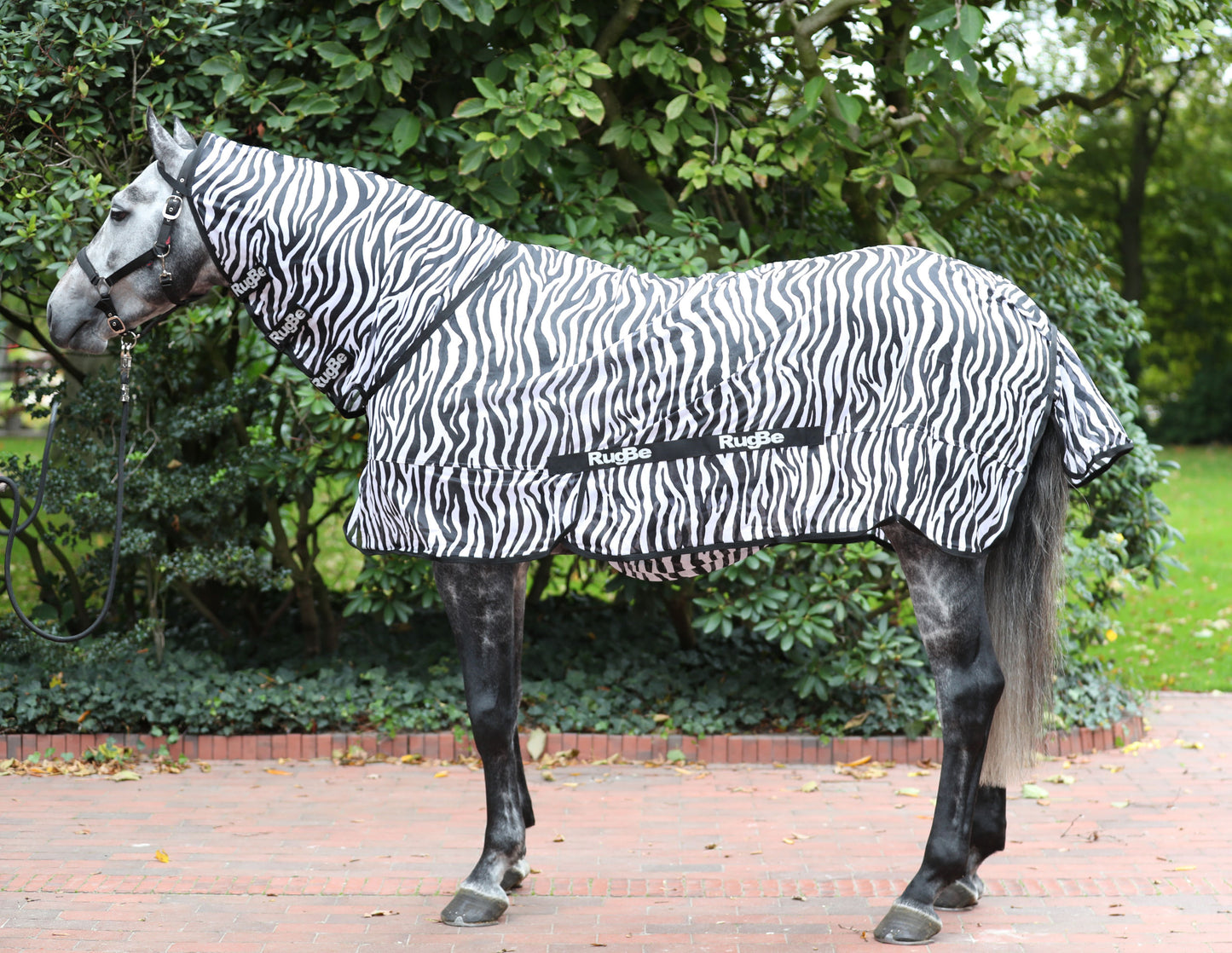Fliegendecke RugBe Zebra