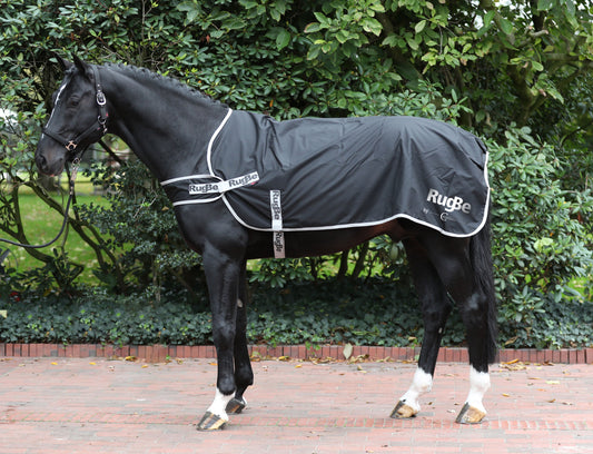 Führanlagen- und Spazierdecke RugBe