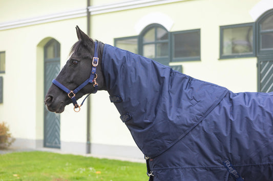 Halsteil RugBe IceProtect 200