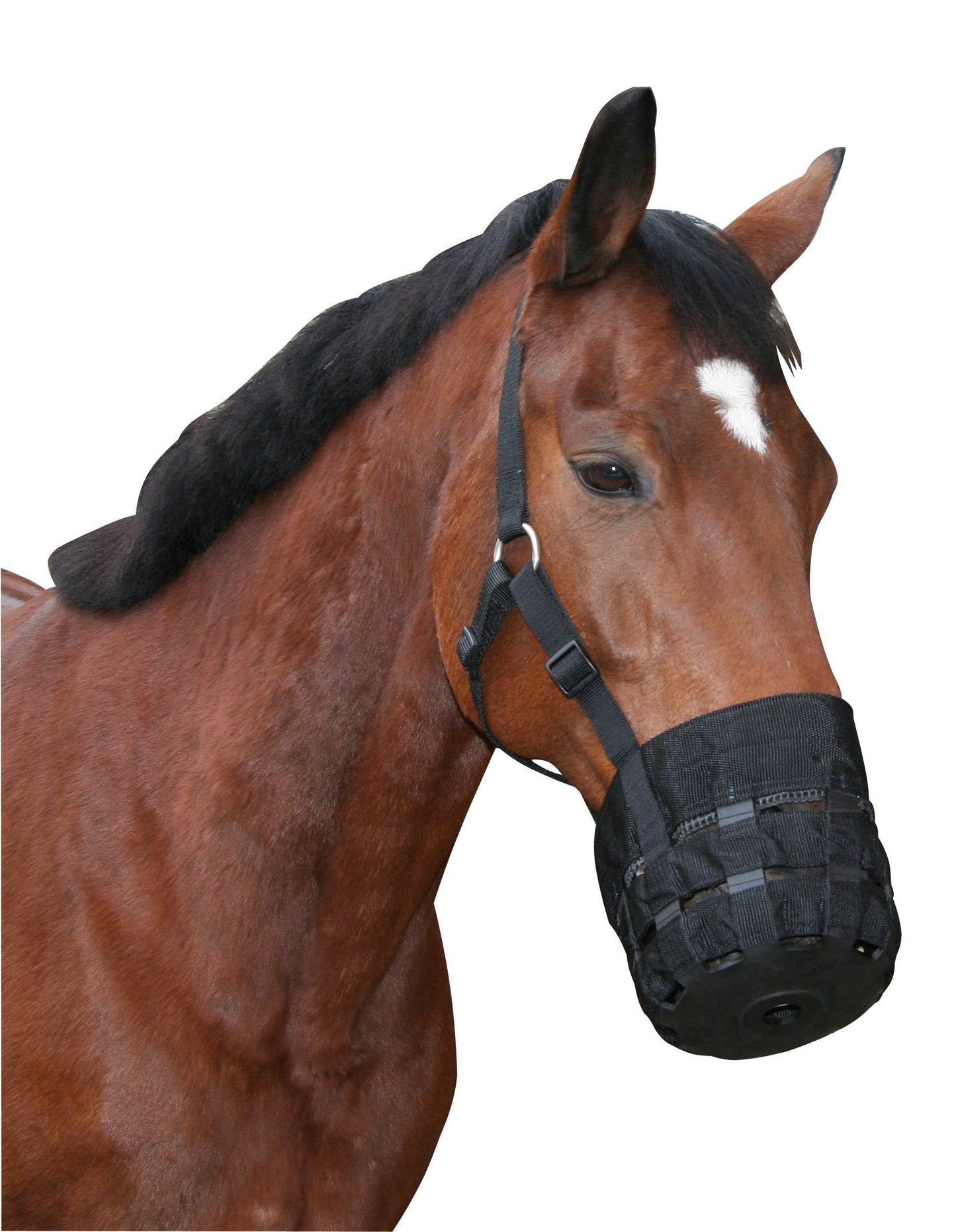 Maulkorb / Fressbremse