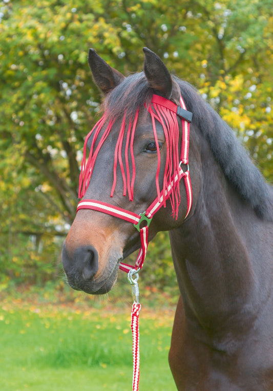 Fliegen Fransenband dunkelrot