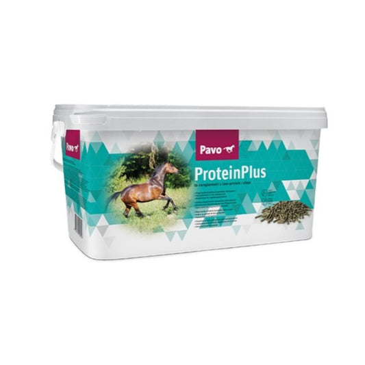 ProteinPlus