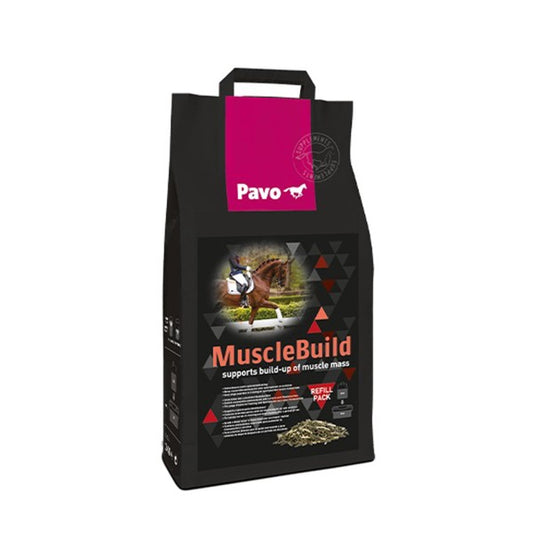 MuscleBuild Nachfüller