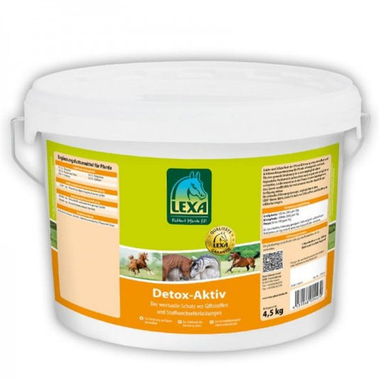 Detox-Aktiv