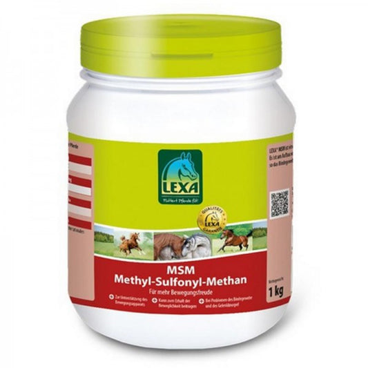 MSM (Methyl-Sulfonyl-Methan)