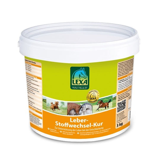 Leber&Stoffwechsel Kur 3kg