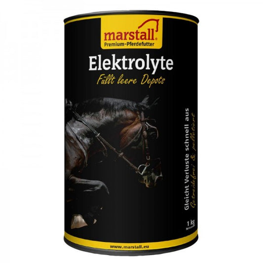 Elektrolyte