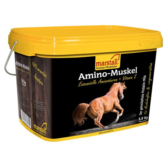 Amino-Muskel