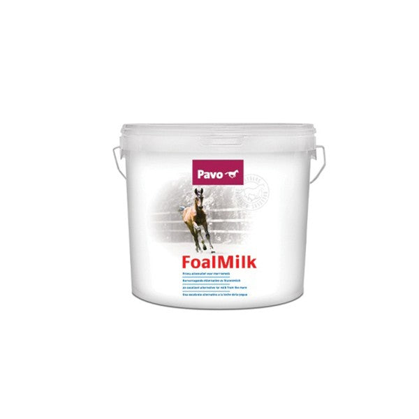 Fohlenmilch