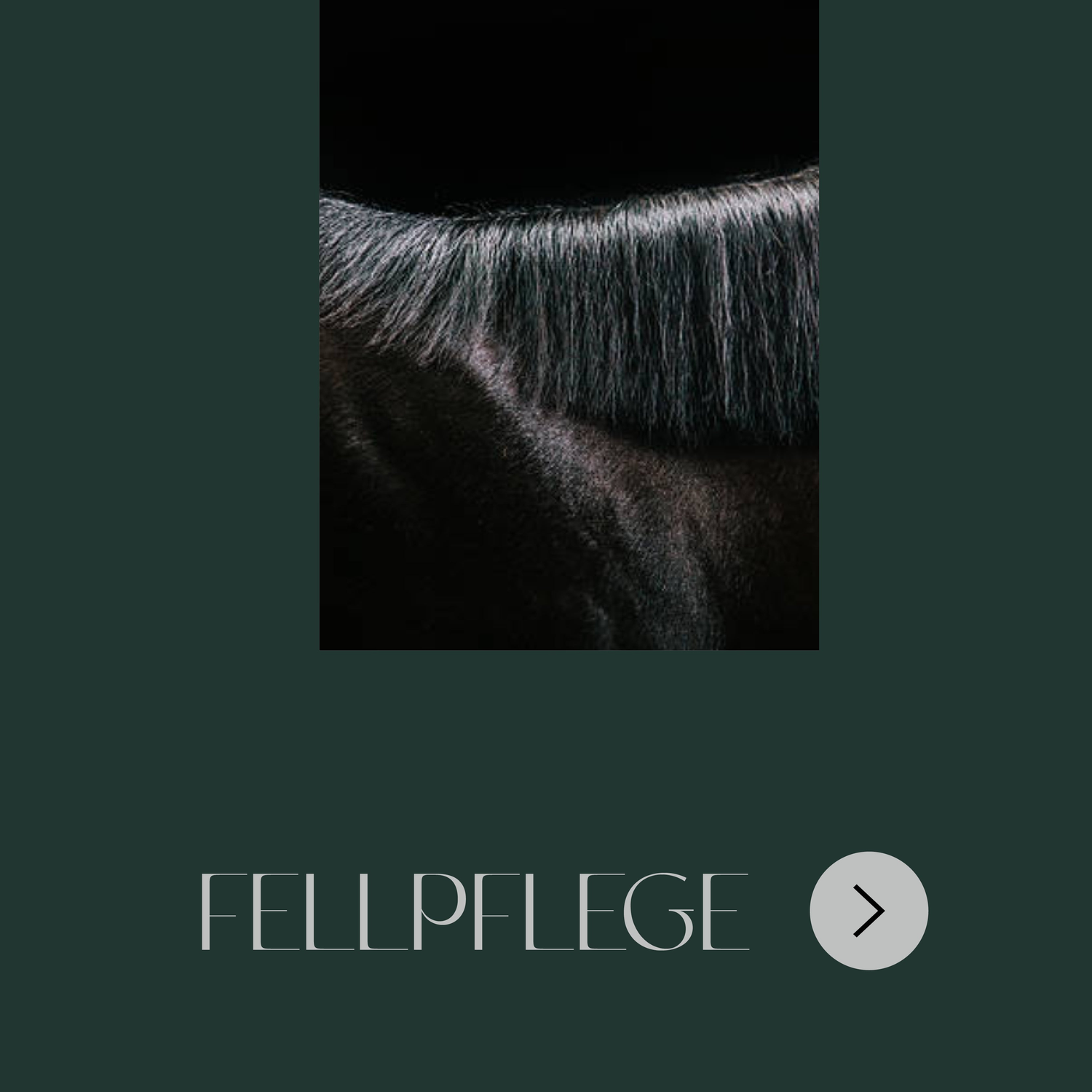 Fellpflegemittel