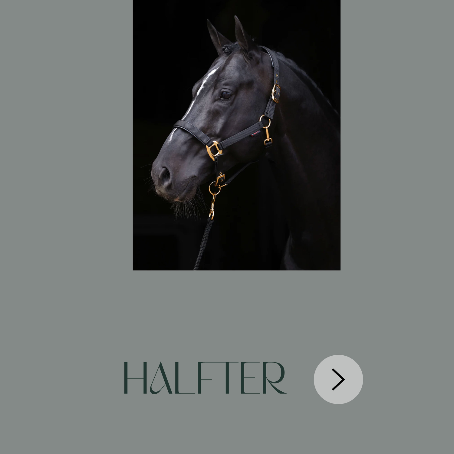 Halfter