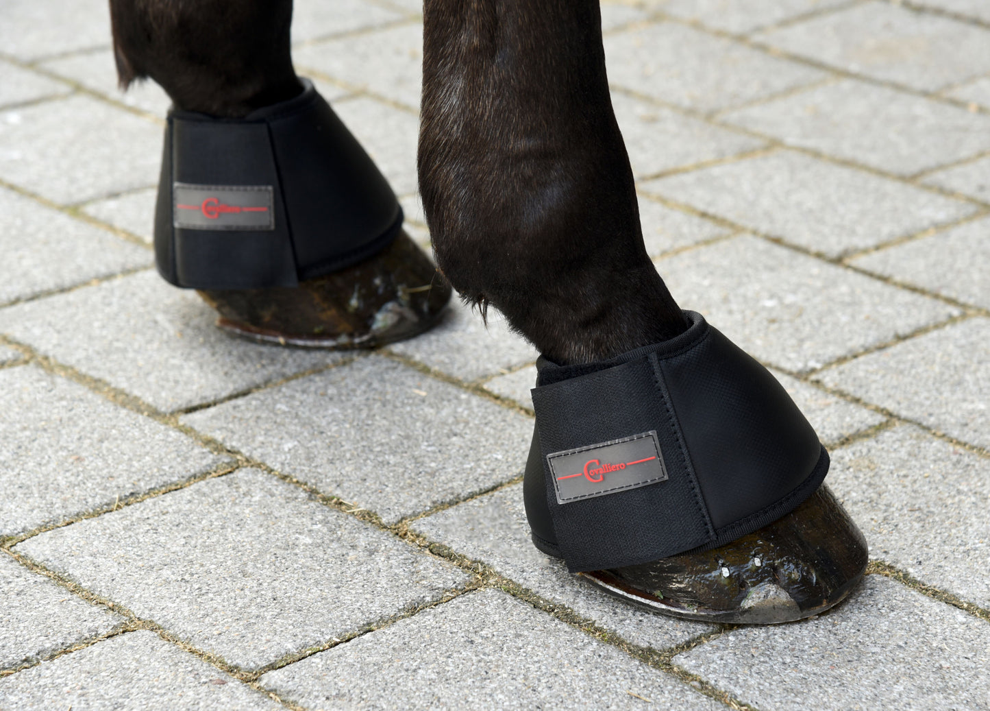 Hufglocken Protecto schwarz