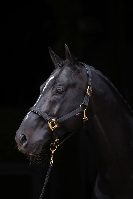 Halfter TopLine