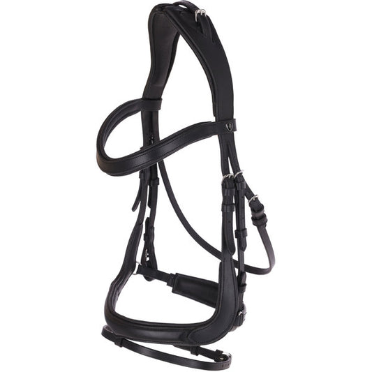 Trensenzaum Anatomic