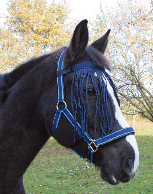 Fliegen Fransenband blau