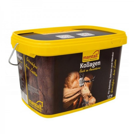 Kollagen