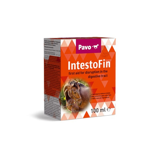 IntestoFin