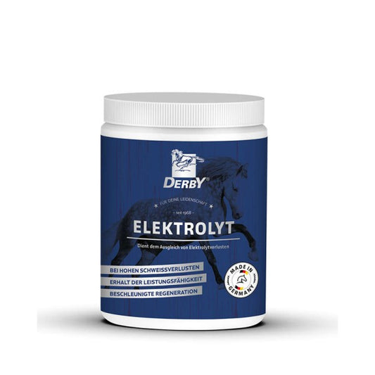 Elektrolyt