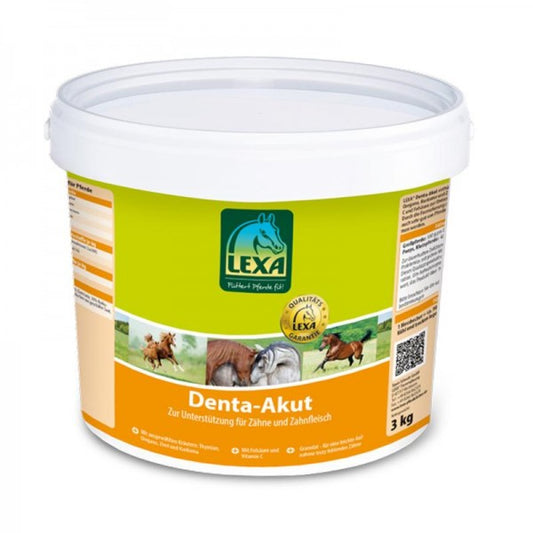 Denta Akut