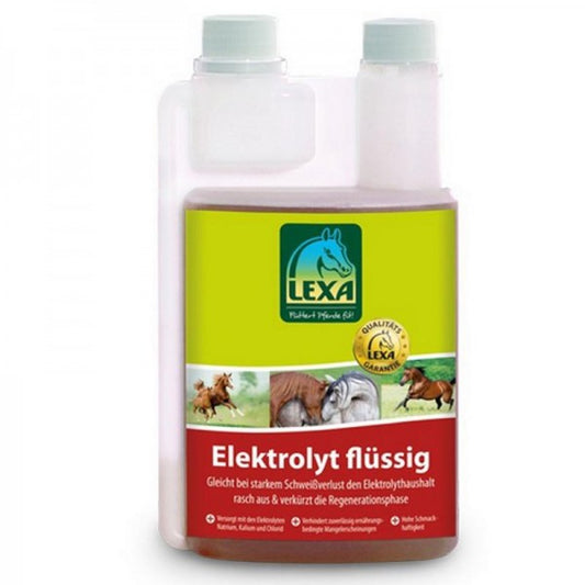 Elektrolyt