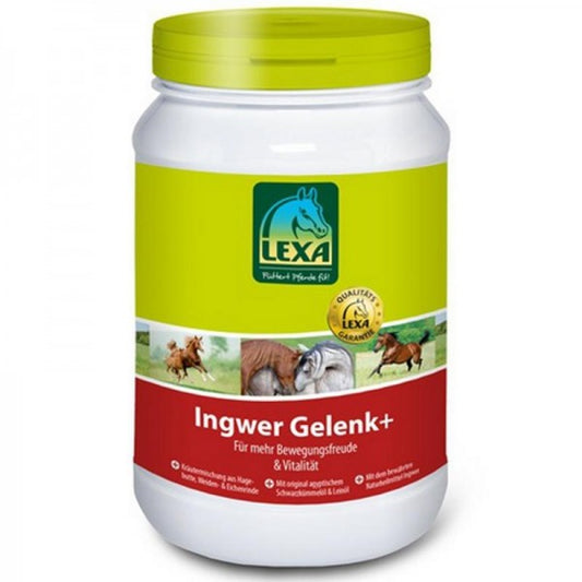 Ingwer Gelenk+
