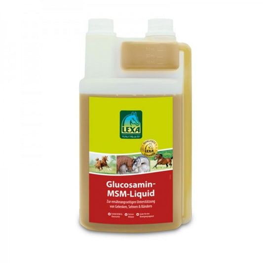 MSM-GAG-Liquid