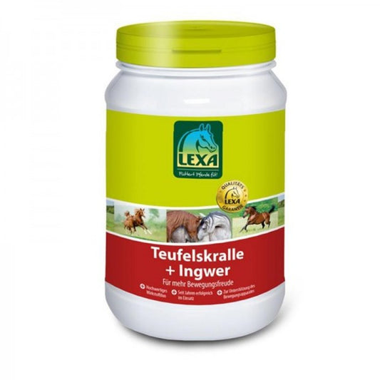 Teufelskralle & Ingwer