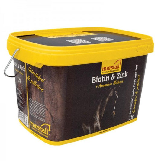 Biotin & Zink