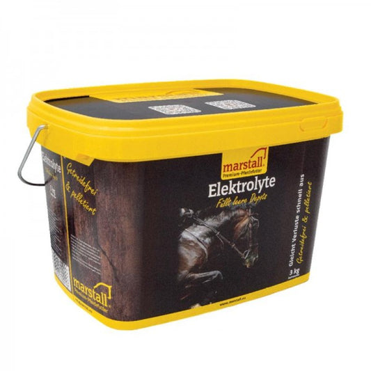 Elektrolyte