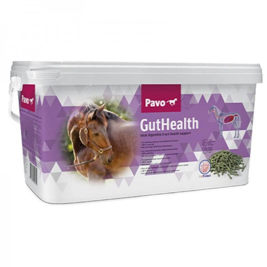 GutHealth