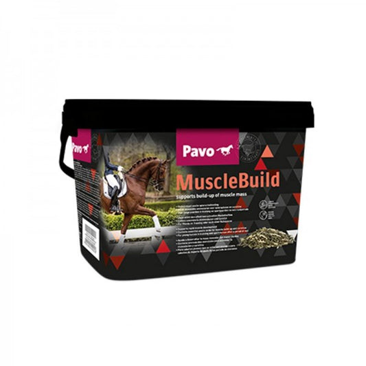 MuscleBuild
